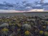 Why is Central Oregon So Biodiverse?