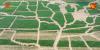 A nation in bloom: An 80-Acre sunflower field commemorates America 250
