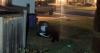 Hungry bears finding easy meals in Colorado suburbs