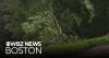 Storms bring heavy rain, damaging winds to parts of Massachusetts