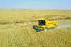Oman records growth in agriculture, fisheries sector