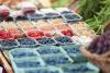 Chilean Frozen Blueberries Tied to an E. coli Outbreak Were Blocked at the Border Only After People Got Sick