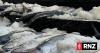 Regional fisheries agency says US-Pacific Tuna Treaty vital, as it delivers US$50 million boost