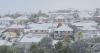 'Avoid travelling': Dunedin closes schools and state highways