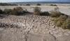 Record-strong El Niño is 'inside the house,' and the UN warns worse weather is ahead