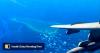 KMT accuses Taiwan’s government of failing to uphold South China Sea claims