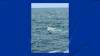 3 hospitalized after boat flips on Lake Michigan: Chicago fire officials