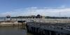 Our Town Bellevue based company keeps barges moving down the Mississippi