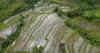 Philippine government reaffirms support of agricultural reform, unveils $1.9m in farm relief