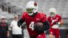 What We Learned at Cardinals Training Camp: Arizona Has a ‘Pretty Cool Running Back Room’