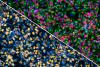 UCLA Scientists Build 'Cell Villages' to Map the Genetics of Brain Cell Fitness