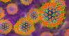A Maryland resident recently tested positive for Measles.