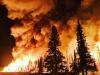 Wildfires Rage Across 2 Continents as Shell Posts ‘Scandalous’ $9.8B Quarterly Profit
