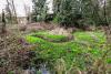 Maple Ridge working on environmental projects, flood control