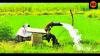 Lead above safe limit in vegetables grown on Delhi floodplains: Study