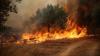 Greece, France battle massive wildfires as extreme heat grips Europe