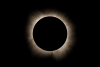 Natural History Museum projects rare sunset solar eclipse on big screen