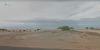 Large tiger shark spotted off Kauai beach