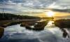 North Carolina Coastal Federation honors 2026 Pelican Award recipients