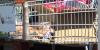 1 in 5 Arizona children face food insecurity, new report shows