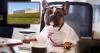 Adorable Dog Mayor of Small Town Approves Data Center