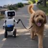 Prince Mario-Max Schaumburg-Lippe: New York Ready For Robo Dog Walking!