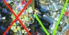 Recycling Right Makes a Bigger Difference Than Recycling More