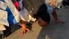140 French immigrants arrive as aliyah jumps 30%
