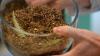 1st human composting facility on East Coast opens in Maryland The funeral provider Earth has opened the east coast's first composting facility.The 37,000 square foot facility, which has spaces to educate families and a pri