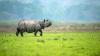India's Untouristed Mountain Region Brims With Ancient Pyramids, Wildlife Parks, And Gracious Tea Gardens