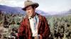 8 Best James Stewart Western Movies That Are Still 10/10 Masterpieces