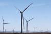 Analysis-Sustainable fund launches stutter amid industry caution