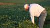 US soybean farmers race to meet global demand as farmland shrinks