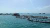 From marine economy to a strong maritime nation: A new vision for Việt Nam's future