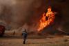 Firefighters battle through the night as Greek wildfire scorches more than 130 square kilometres