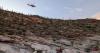 35 rescues so far for Southern Arizona Rescue Association in 2026