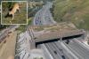 Fury as major freeway ramp closed in aid of $114M wildlife crossing