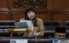 General : Government Studying Proposed Domestic Violence Offenders Registry