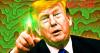 Trump Is Drowning in Failure as Crises Mount: Political Guru