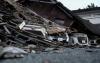 World : 2 Evacuated Employees Who Died In Japan's Aeon Mall Explosion Were Told To Return Inside By Employer