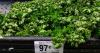 Cyclospora cases have nearly doubled again in Missouri. See the latest numbers