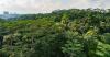 Maju Forest development: Former RJC, ITE HQ, Depot Lane Industrial Estate earmarked for housing, says Alvin Tan