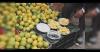 Rajasthan seizes over 8.8 lakh kg/litres of suspected adulterated food in FY26