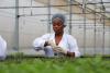 11 things to know about new agriculture law