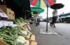 Sweltering heat takes toll on small businesses
