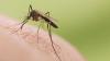 Aussie travellers warned as outbreak grips popular holiday spot