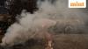 Spokane wildfire: 37-year-old man arrested for arson in connection with one of the worst fires