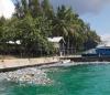 WAMCO suggests liveaboard vessels may be dumping waste