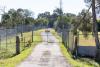 Monkey business: Questions raised over medical testing facility