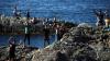 Ceuta Reveals the Naked Truth About Europe’s Migration Crisis